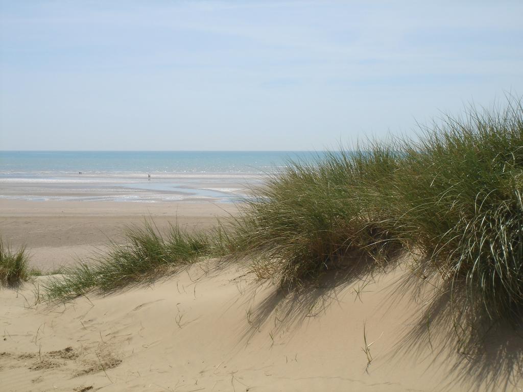 The Salty Dog Holiday Cottage, Camber Sands Rye Buitenkant foto